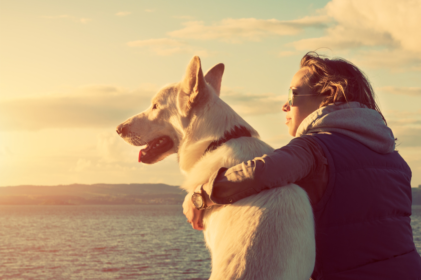 13 Things To Consider Before Adopting A Dog In Pet-Friendly Senior Living In Alpharetta, GA