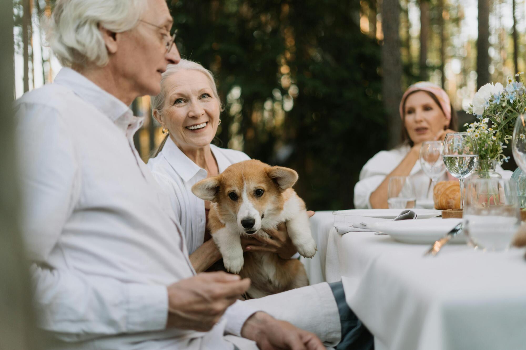 Exploring the Impact of Social Life on Seniors' Health