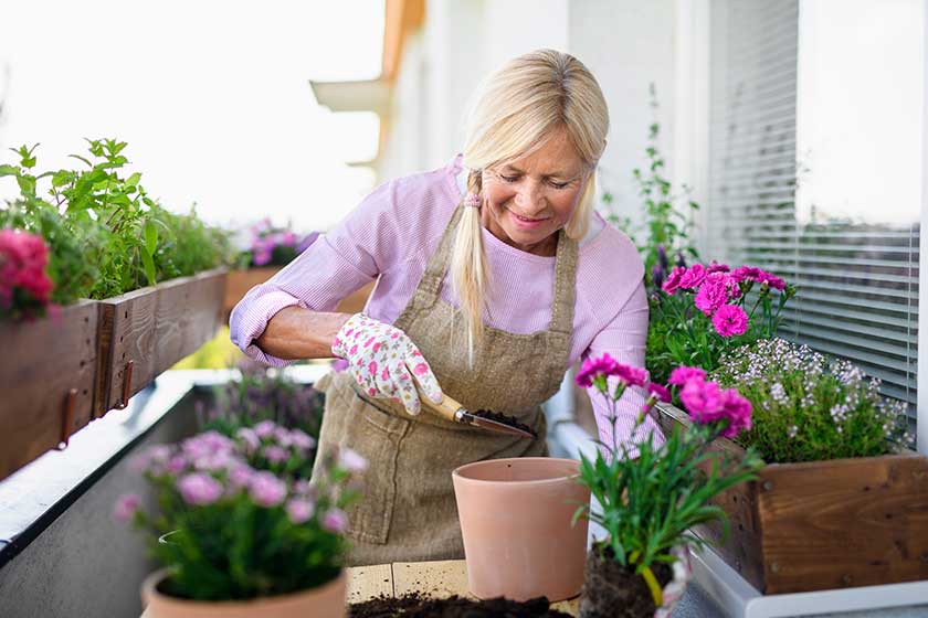 Creating An Alzheimer's Sensory Garden In A Memory Care Home In Woodstock, GA: 5 Tips To Follow